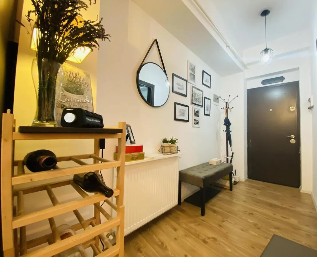 Double Studio Apartment Bucureşti România