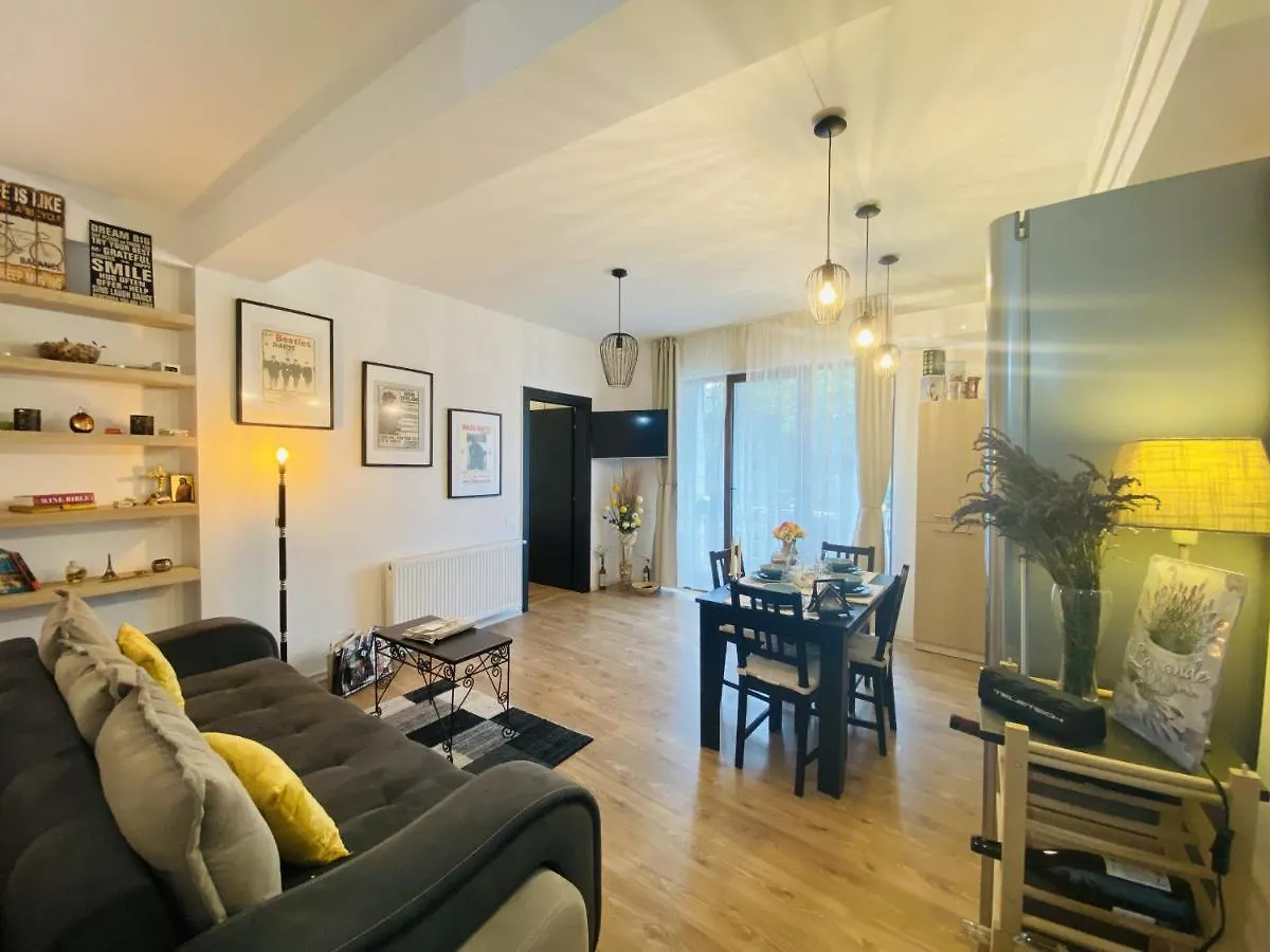 Double Studio Apartment Bucureşti