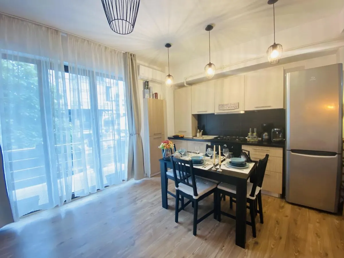 Double Studio Apartment Bucureşti