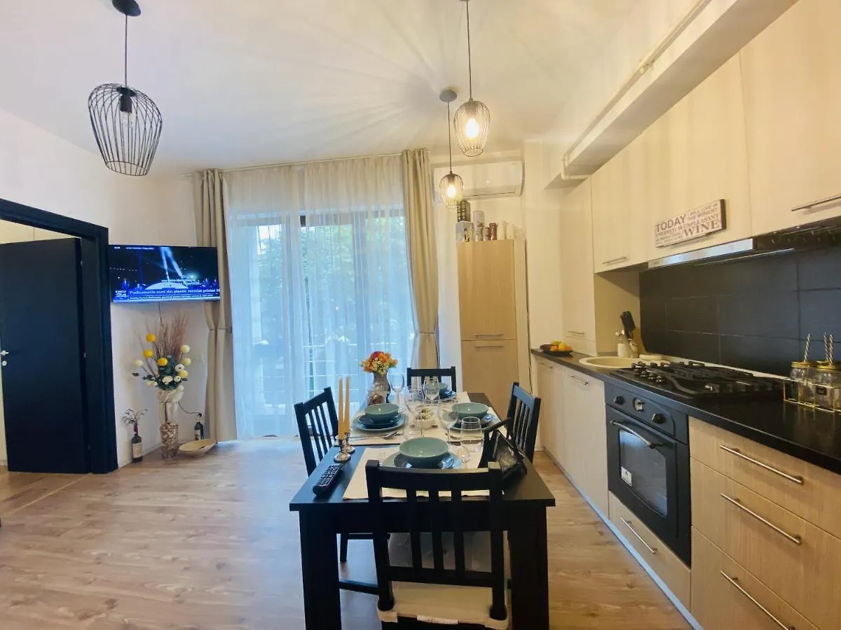 Double Studio Apartment Bucureşti