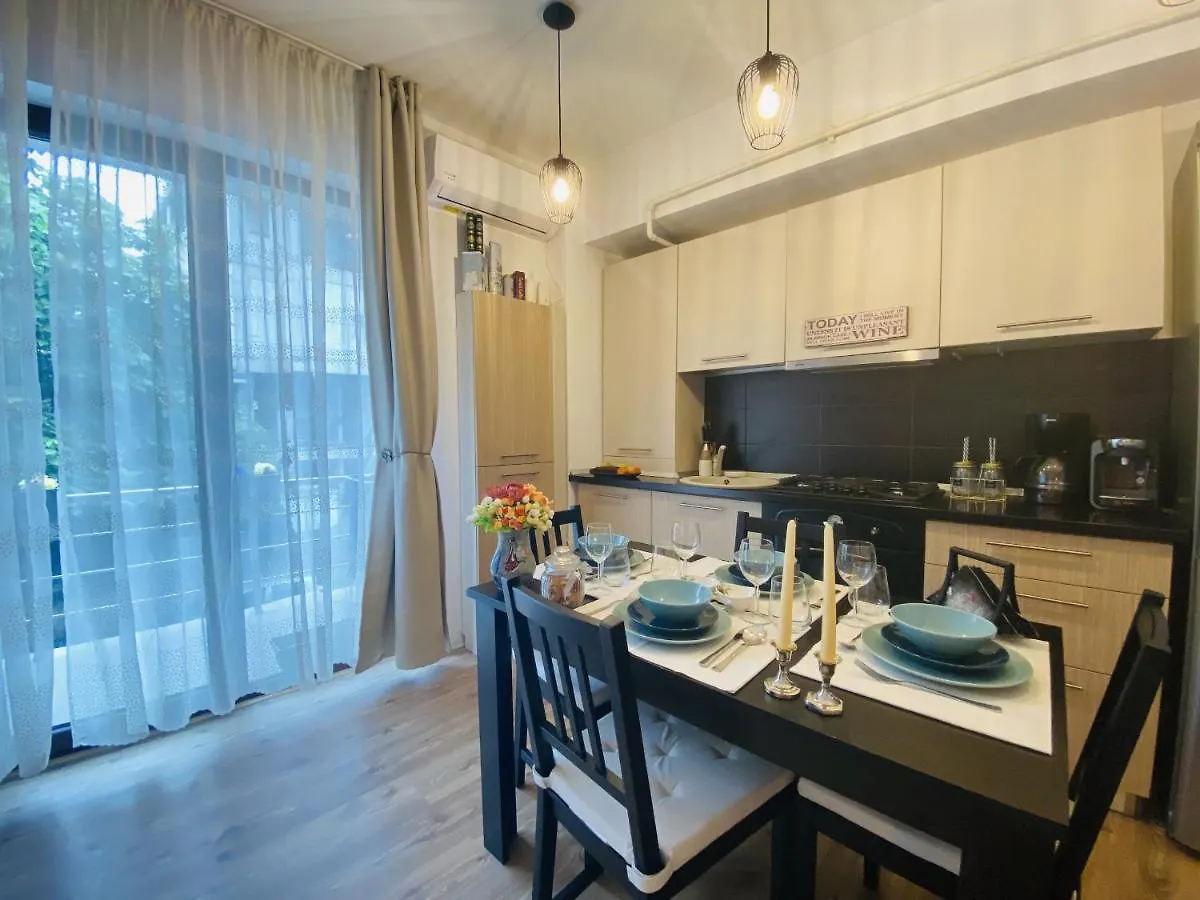 Double Studio Apartment Bucureşti